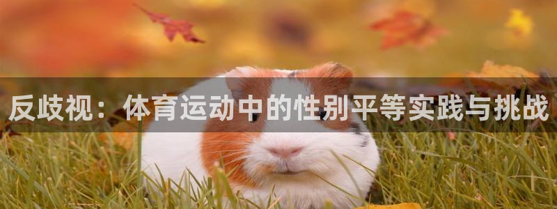 火爆体育下载：反歧视：体育运动中的性别平等实践与挑战
