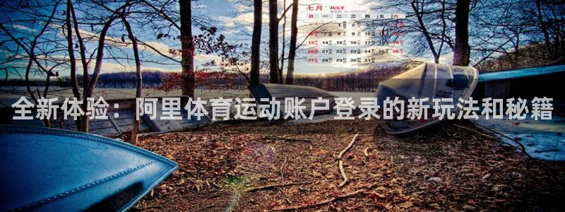 火爆体育下载：全新体验：阿里体育运动账户登录的新玩法和秘籍