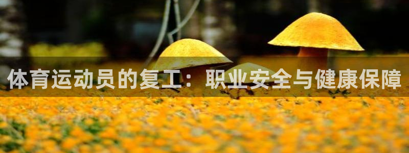 火爆体育app官方下载安装最新版本：体育运动员的复工：职业安全与健康保障