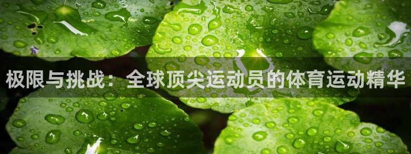 火爆体育赛事：极限与挑战：全球顶尖运动员的体育运动精华