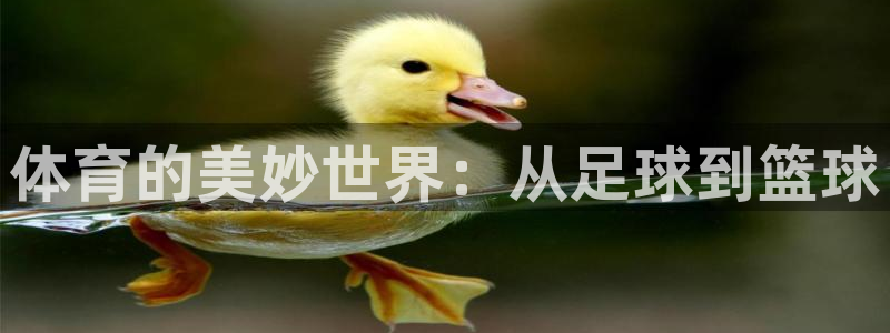 火爆体育app官方下载安装最新版本：体育的美妙世界：从足球到篮球