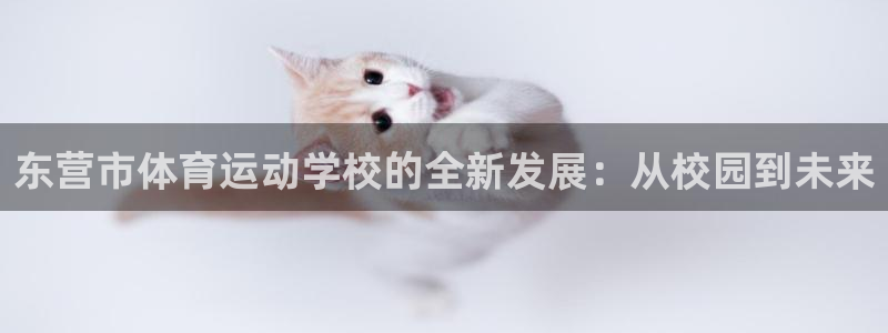 火爆体育下载：东营市体育运动学校的全新发展：从校园到未来
