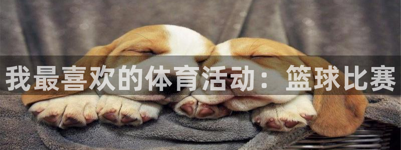火爆体育背后故事：我最喜欢的体育活动：篮球比赛
